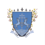 Image représentant un élément de la section