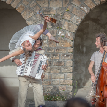 Image représentant un élément de la section