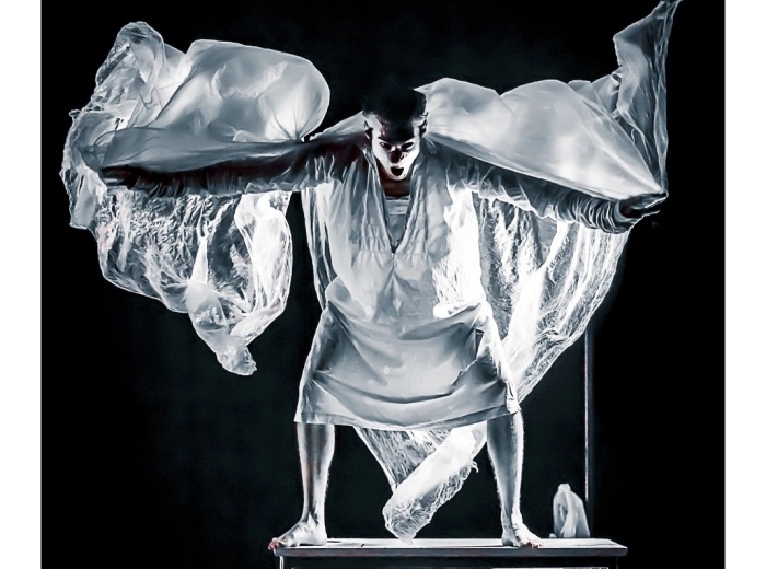 Image illustrant la section